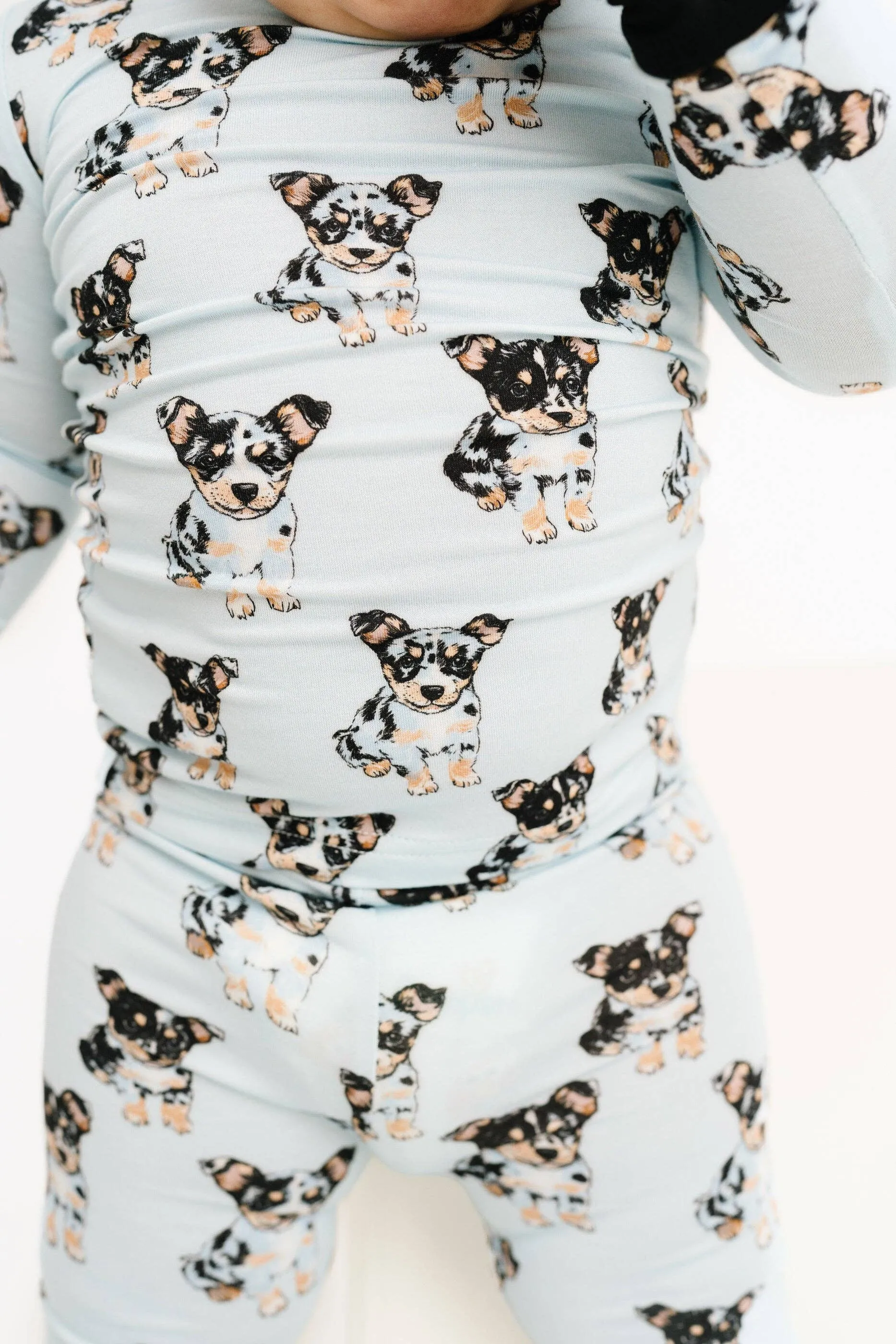 Blue Heeler Bamboo Set: 2T